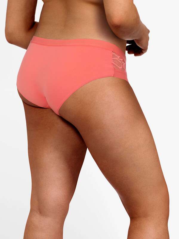 Rose Boxer - Eleonor 2