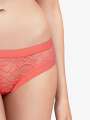 Thumbnail Rose Boxer - Eleonor 6