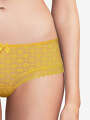 Thumbnail Jaune Boxer - Erin 3