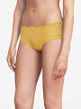 Thumbnail Jaune Boxer - Erin 4