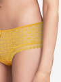 Thumbnail Jaune Boxer - Erin 6