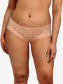 Thumbnail Orange Boxer - Erin 1