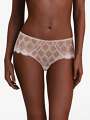 Thumbnail Violet Boxer - Gisele 1