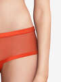 Thumbnail Rose Boxer - Giulia 3