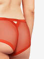Thumbnail Rose Boxer - Giulia 6