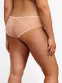 Thumbnail Rose Boxer - Lily Rose 2