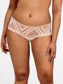 Thumbnail Rose Boxer - Luna 1