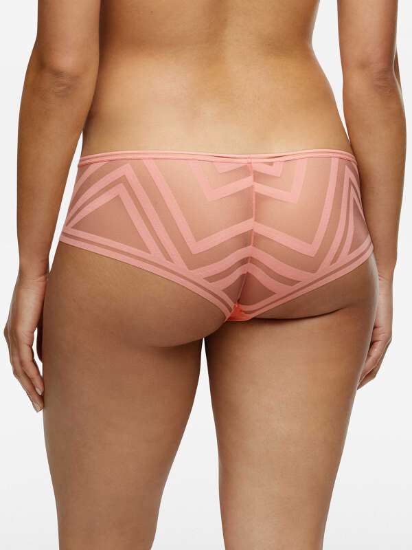 Rose Boxer - Luna 2