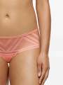 Thumbnail Rose Boxer - Luna 3