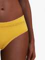 Thumbnail Jaune Boxer - Mignonne 3