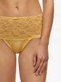 Thumbnail Jaune Boxer - Sarah 3