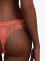 Thumbnail Rose String - Intrigante 3