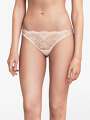 Thumbnail Rose Tanga - Jeanne 4